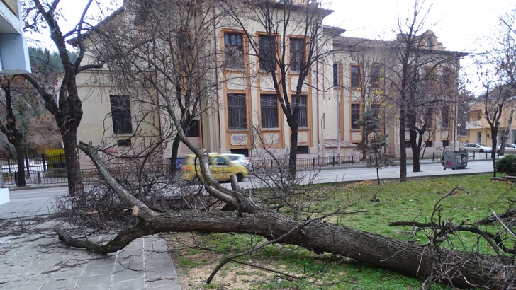 Снимка БГНЕССилният вятър който духа вече 24 часа в Благоевград