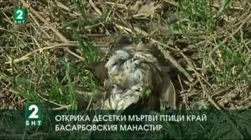 Снимка БНТДесетки птици бяха открити мъртви в района на Басарбовския