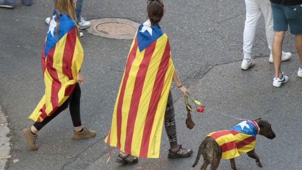 Снимка Би Ти ВиГоворител на каталунското правителство определи като провокация