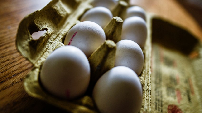 Трите ферми в които бяха открити яйца с фипронил остават