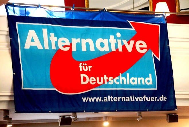 Зам председателят на германската политическа партия Алтернатива за Германия АзГ Александер Гауланд