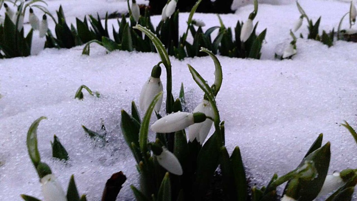 Снимка БГНЕСАстрономическата пролет в Северното полукълбо тази година настъпва на