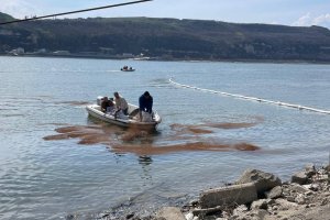 Уникална зима: шест съда потънаха в Дунав до България