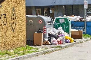 Варна иска помощ за боклука от... София