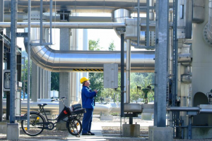 Германия продава местното поделение на 