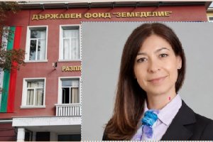 И фонд 
