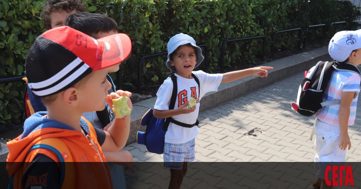 От самото си създаване европейските схеми Училищен плод и Училищно