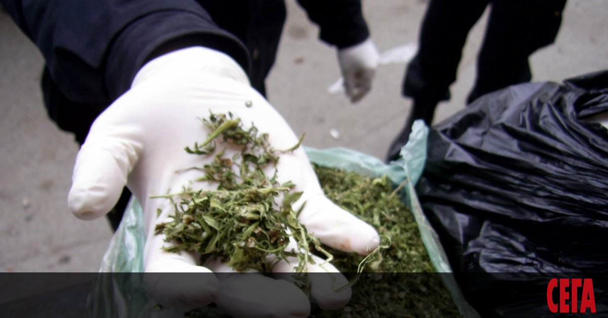 Разбиха нарколаборатория при спецакция в Горна Оряховица. Тя се намира