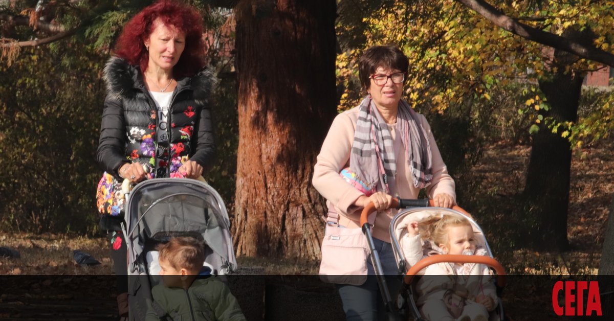 До края на декември родителите може да кандидатстват за данъчни