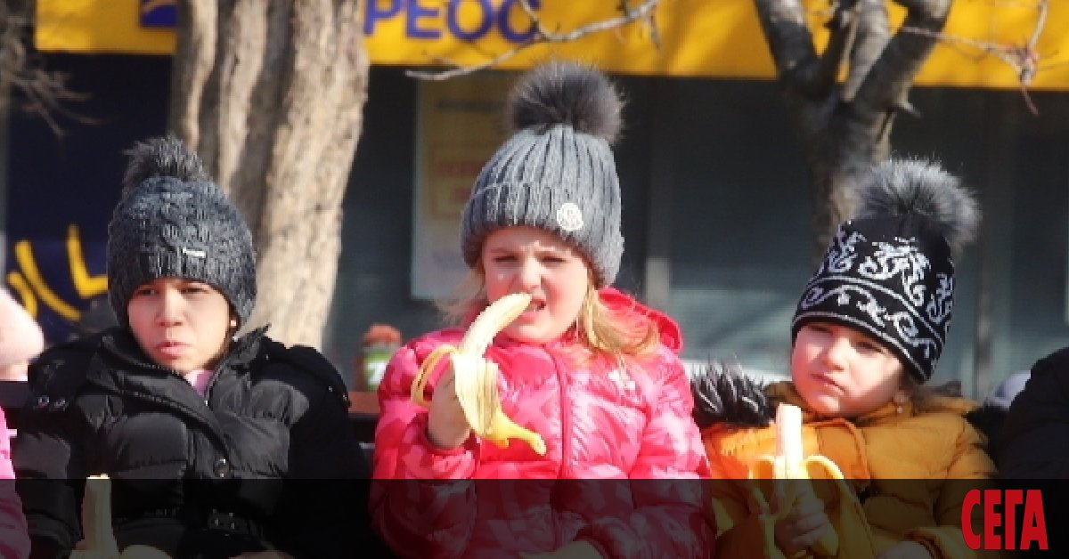 Тричленен състав на Върховния административен съд отмени промените в Наредбата