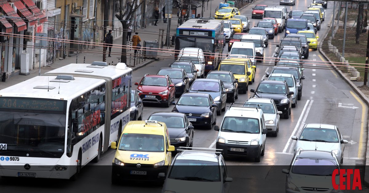 През 2002 г. екип учени изследва мозъците на кученца от