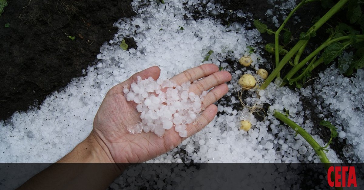 Земеделските стопани, които получават субсидии, задължително да застраховат площите си.