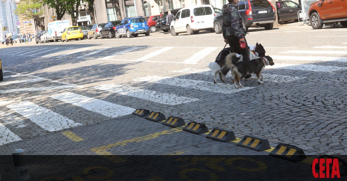 Жителите на София биха подкрепили разнообразни мерки и инициативи, ако