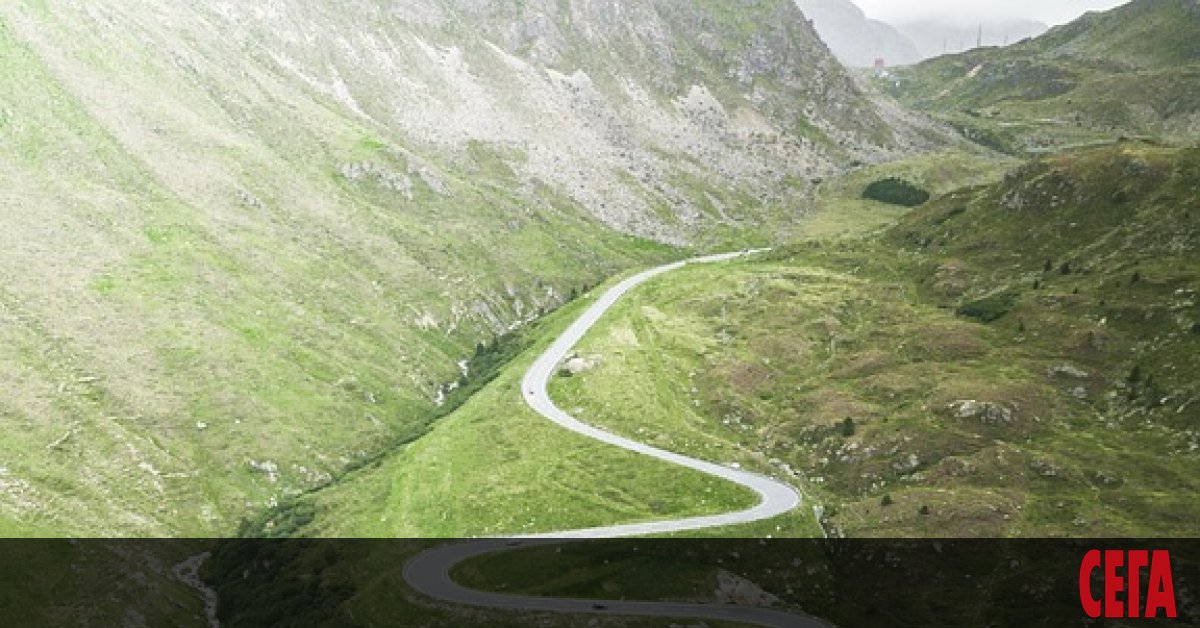 Прието е, че цяла една трета от хората страда в