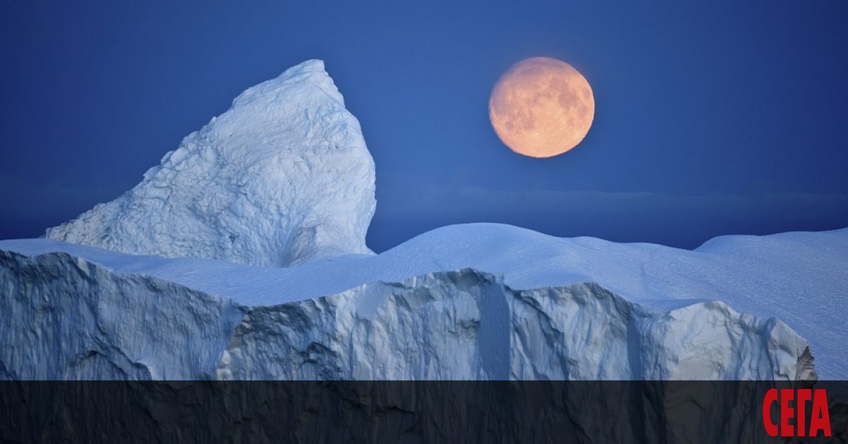 През последните няколко години микропластмасови частици бяха открити в океаните и в питейната