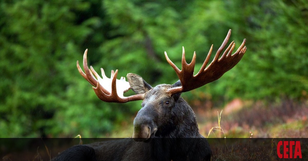 АЗБУЧЕН РЕД
Р. съвсем не е малко село и борбата на