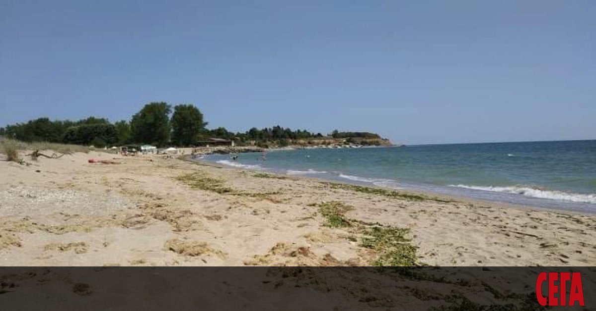 За мистериозна смърт на делфин съобщи днес РИОСВ - Варна.