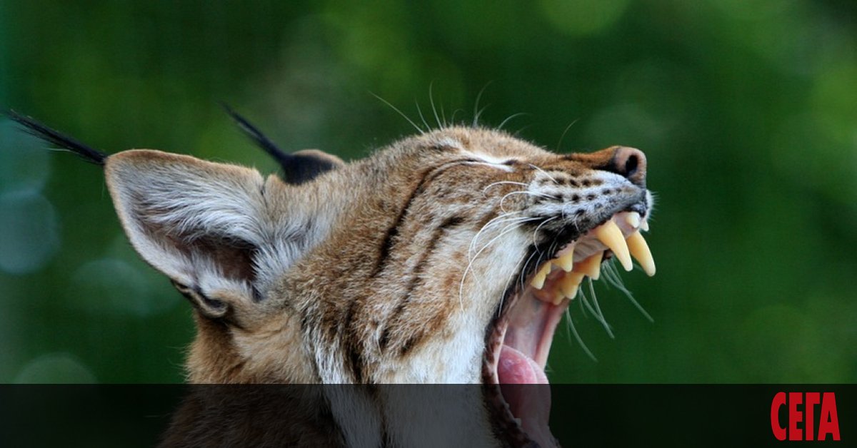 - Добре дошъл! – поздрави го администраторът. – Каква е
