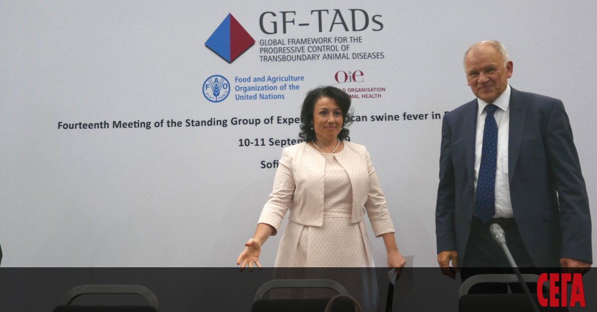 Действията на българските власти във връзка с африканската чума по