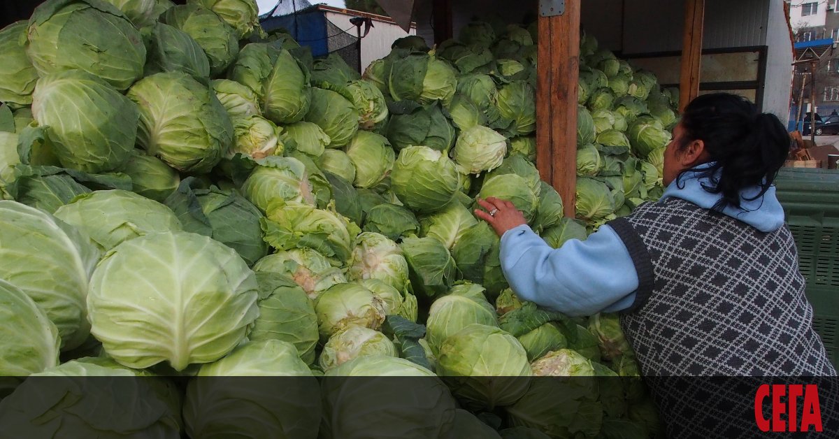 Животът в България е поскъпнал с 2.9% спрямо година по-рано,