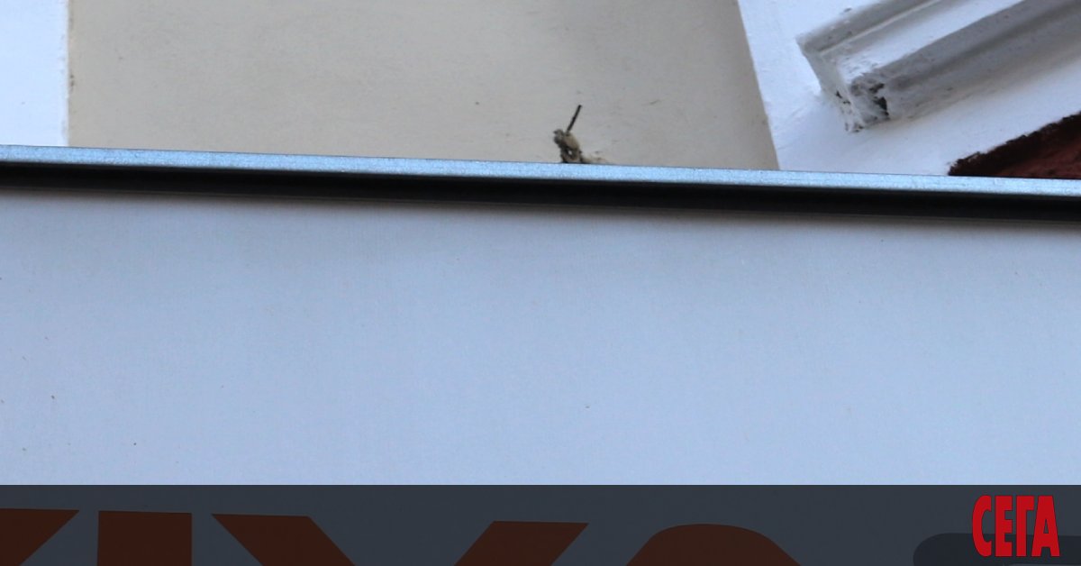 Европейската комисия одобри придобиването на контрол върху Vivacom от United Group - базирана в