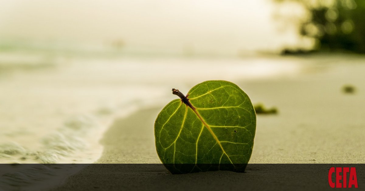 Учени от университета в Кеймбридж твърдят, че са направили интересно