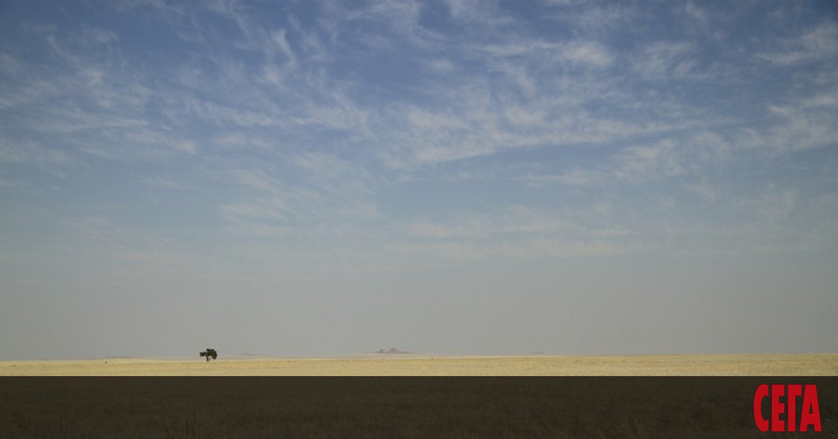 Съвременният човек - Хомо сапиенс, произхожда от Южна Африка - от