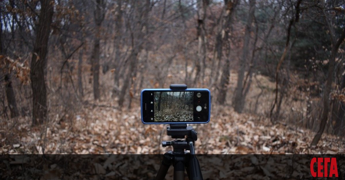 В обстановката на извънредно положение се появиха много идеи за това