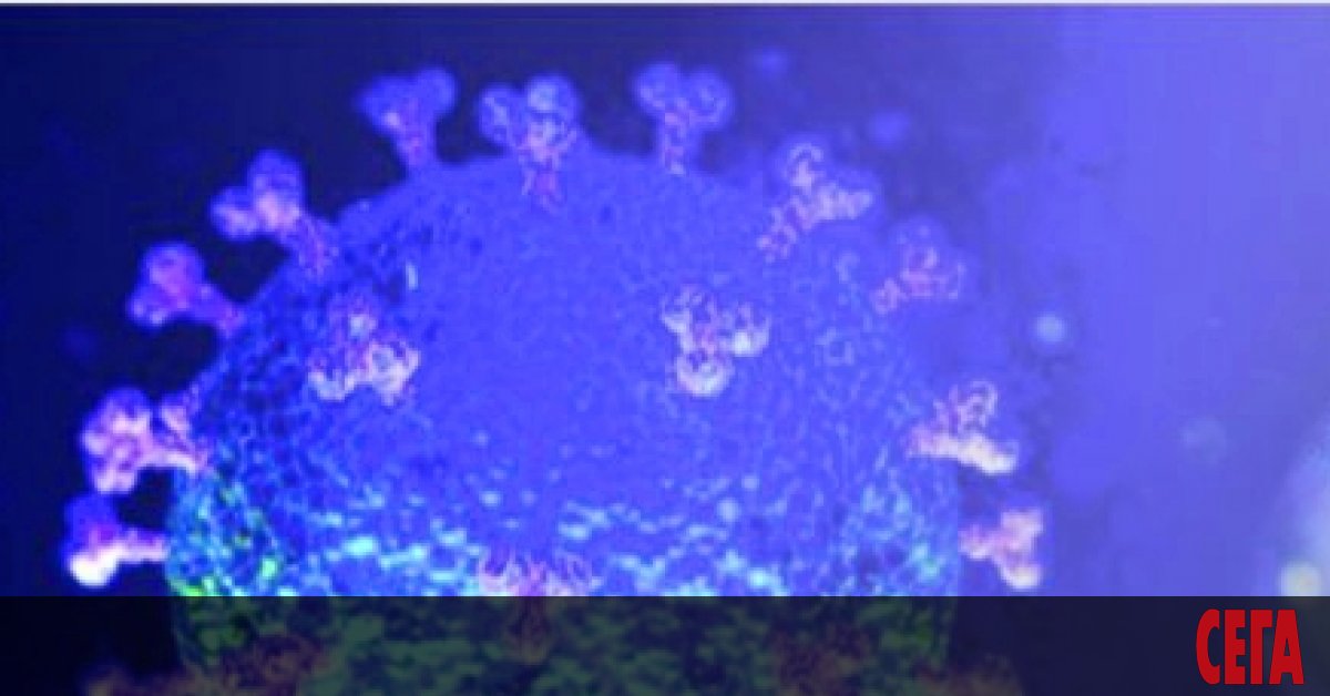 В Германия започват мащабни тестове за антитела срещу коронавируса. Немски