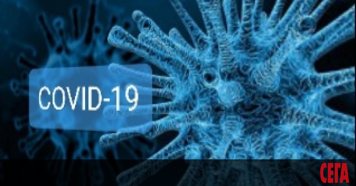 Всеки трети тест за Covid-19 у нас е положителен, сочат данните