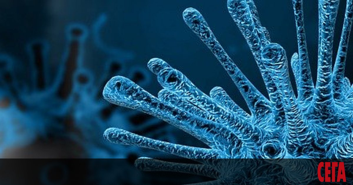 С напредъка на пандемията много хора си блъскат главата над