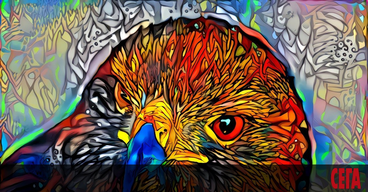 Лети над нас една граблива птица 
с голям каскет на малката