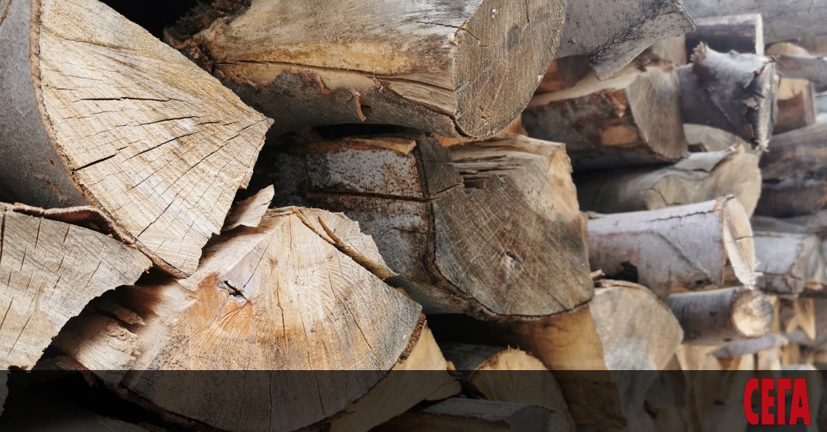 Държавните горски и ловни стопанства ще продават директно дърва за