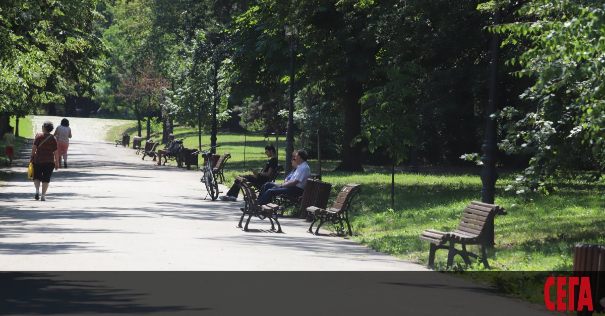 Властта в София предприема първи, доста плахи, а може би