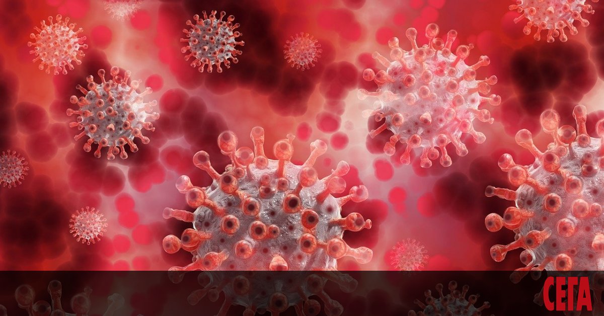 Новите случаи на КОВИД-19 за изминалото денонощие са значително по-малко