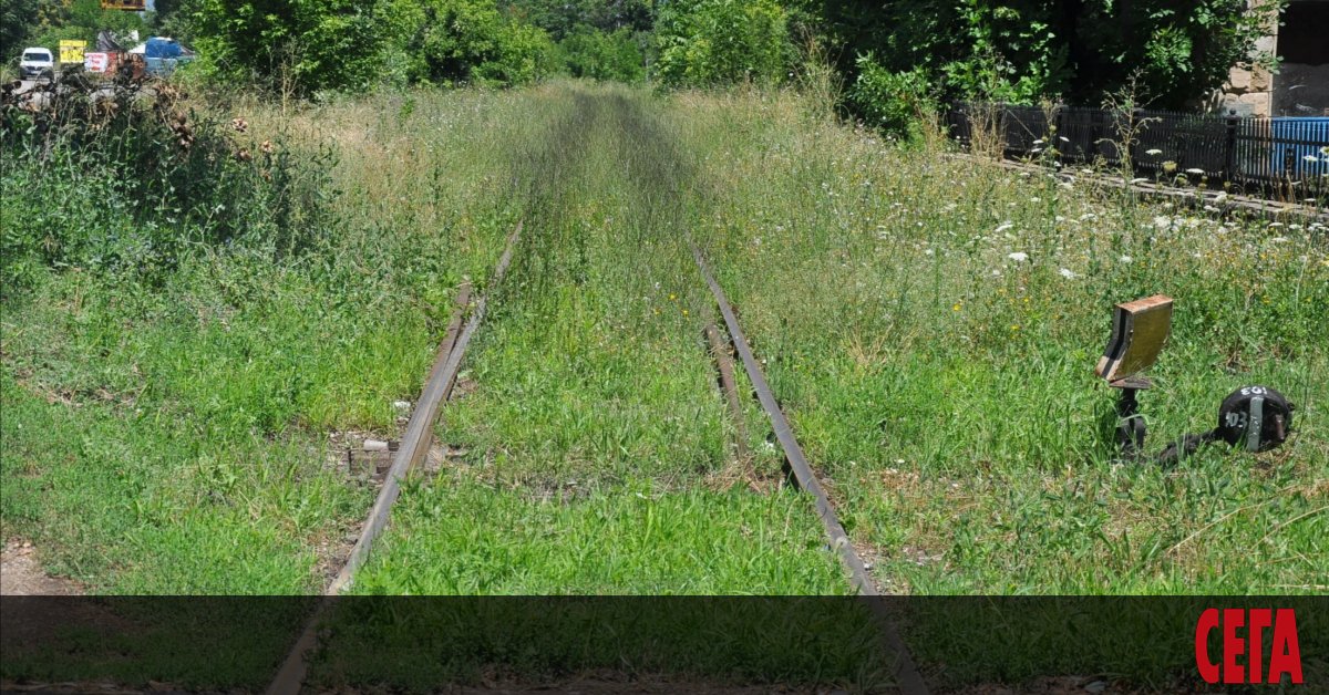 Управляващите в София не се отказват от плана да изсекат