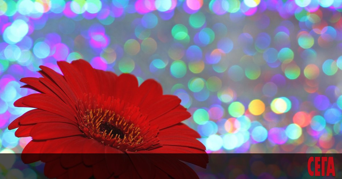 МЕЖДУНАРОДНА КОСМИЧЕСКА СТАНЦИЯ. Звездобройци, астролози и австралопитеци от Меркурий се