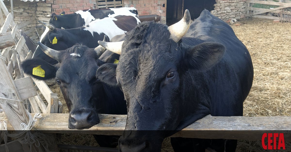 След влизането си в Европейския съюз България е загубила 72% от