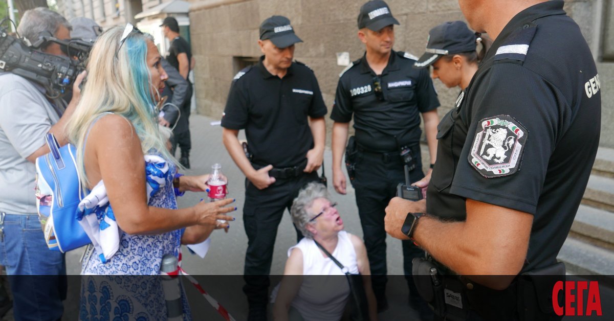 Председателят на Народното събрание Цвета Караянчева е причината за решението