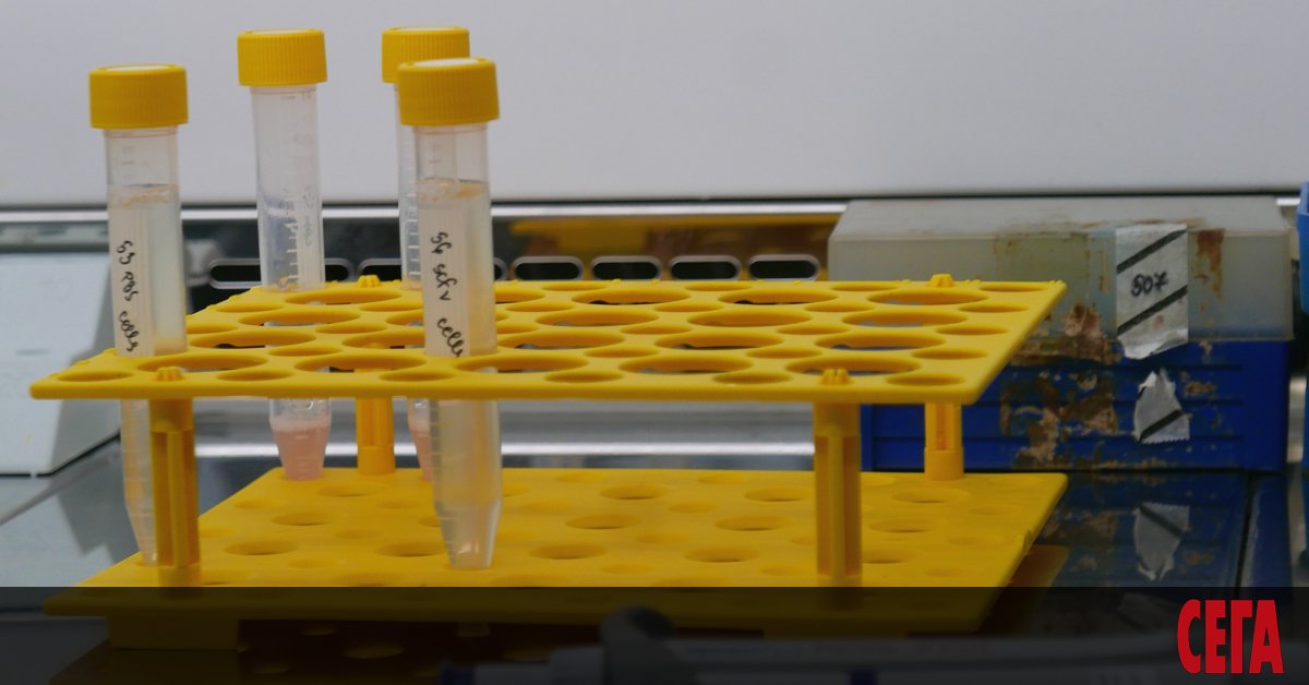 3754 са новите случаи на заразени с коронавируса за ден,