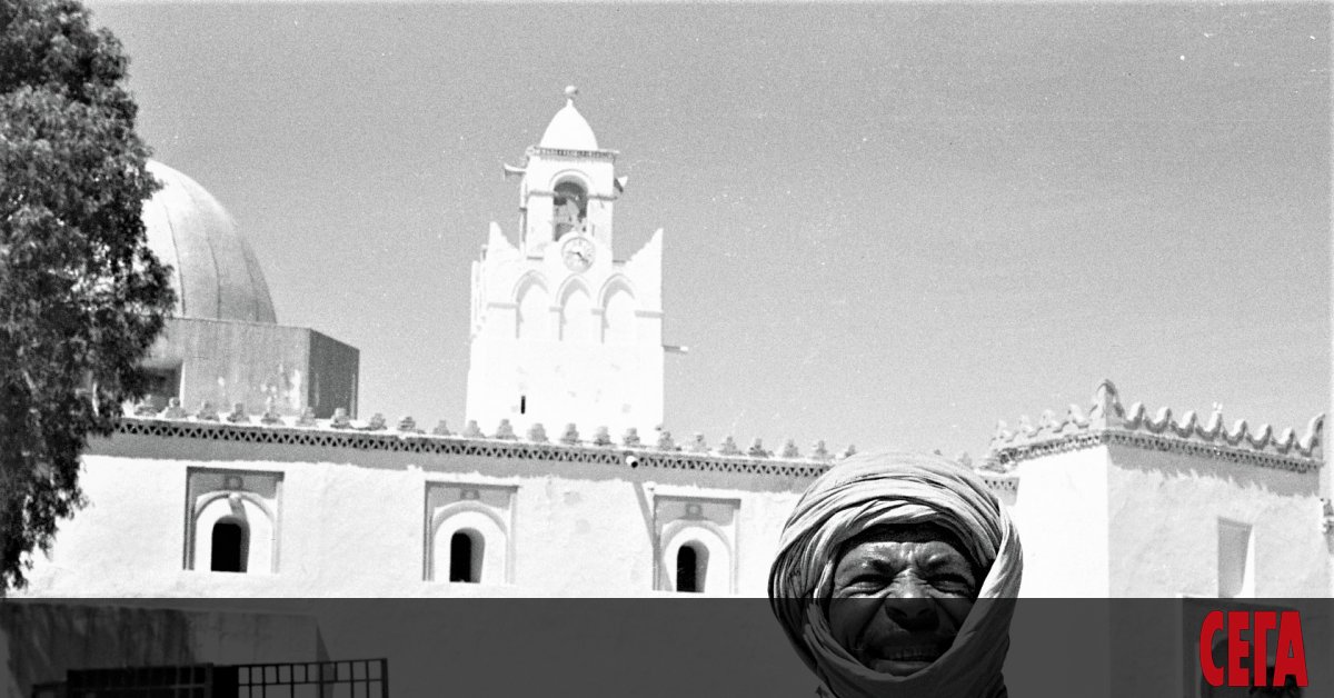 Сахара – море от пясъци, бродирани от камили. Може би