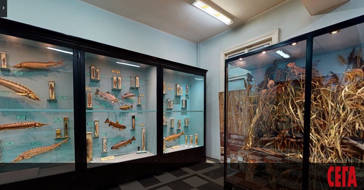 Досега Европейската нощ на музеите, която се провежда у нас