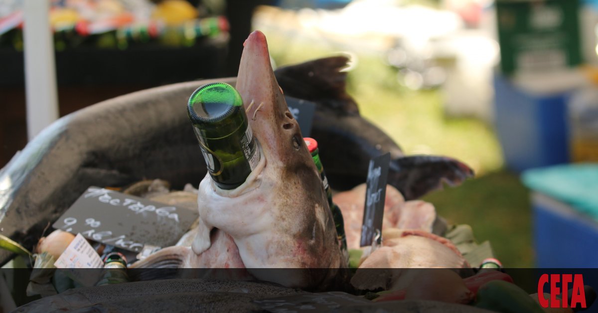 Въпреки обявената извънредна епидемична обстановка и все по-трагичните статистически данни