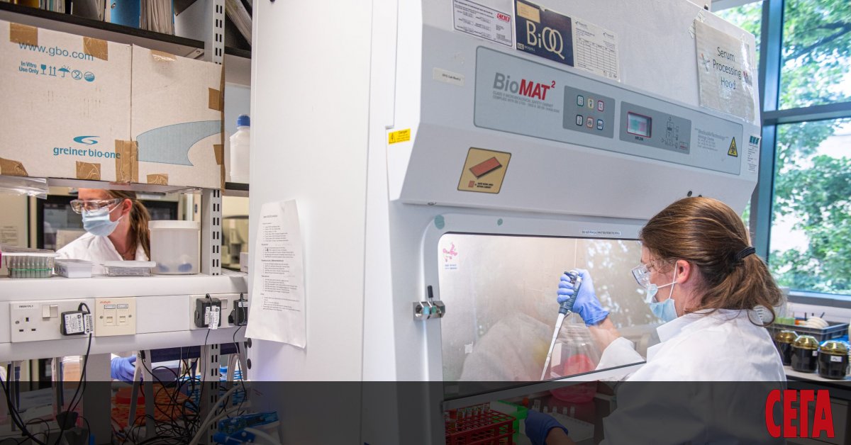 С т.нар. оксфордска ваксина AZD1222 стана това, което вече неведнъж