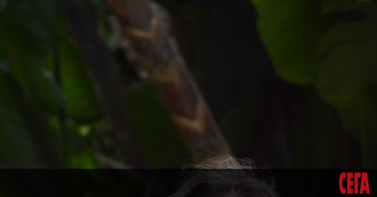 Ако философите са прави, че човекът е мярка за всички