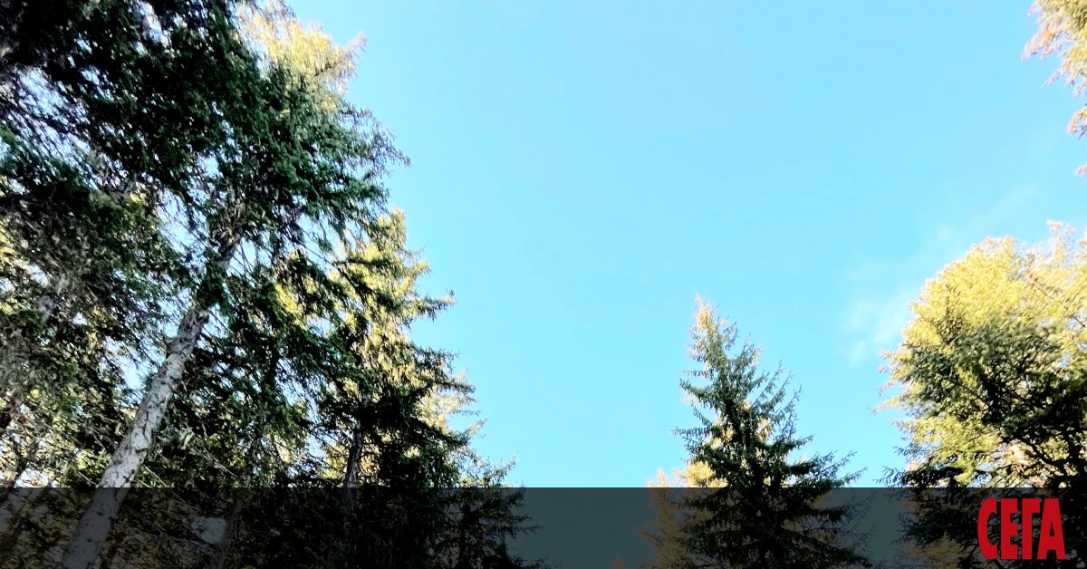 Планински спасители са оказали помощ на мъж, паднал от 300