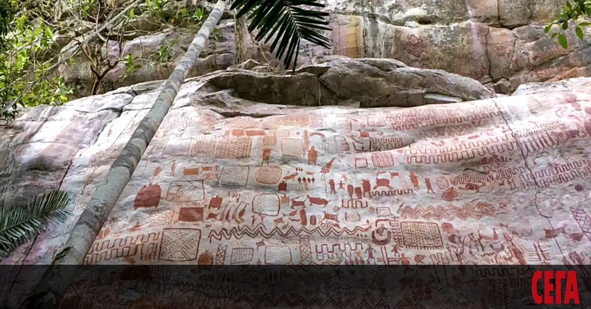 Учени откриха в амазонската джунгла една от най-големите праисторически колекции на