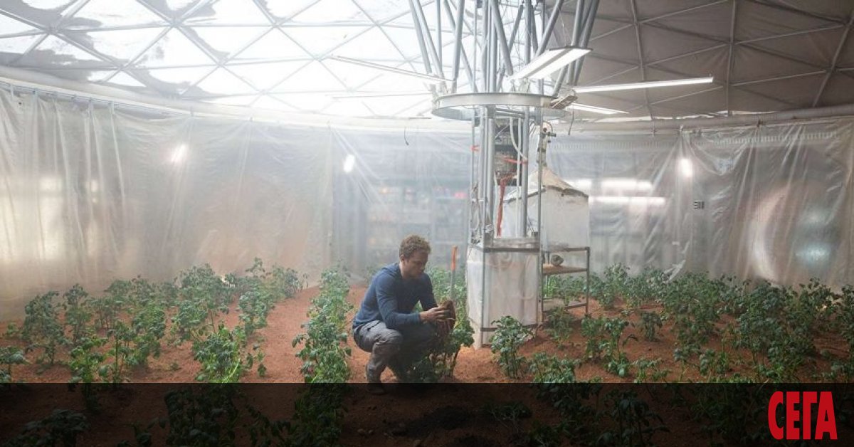 Преди четири години, през 2016-а, Виегер Вамелинк, еколог от университета