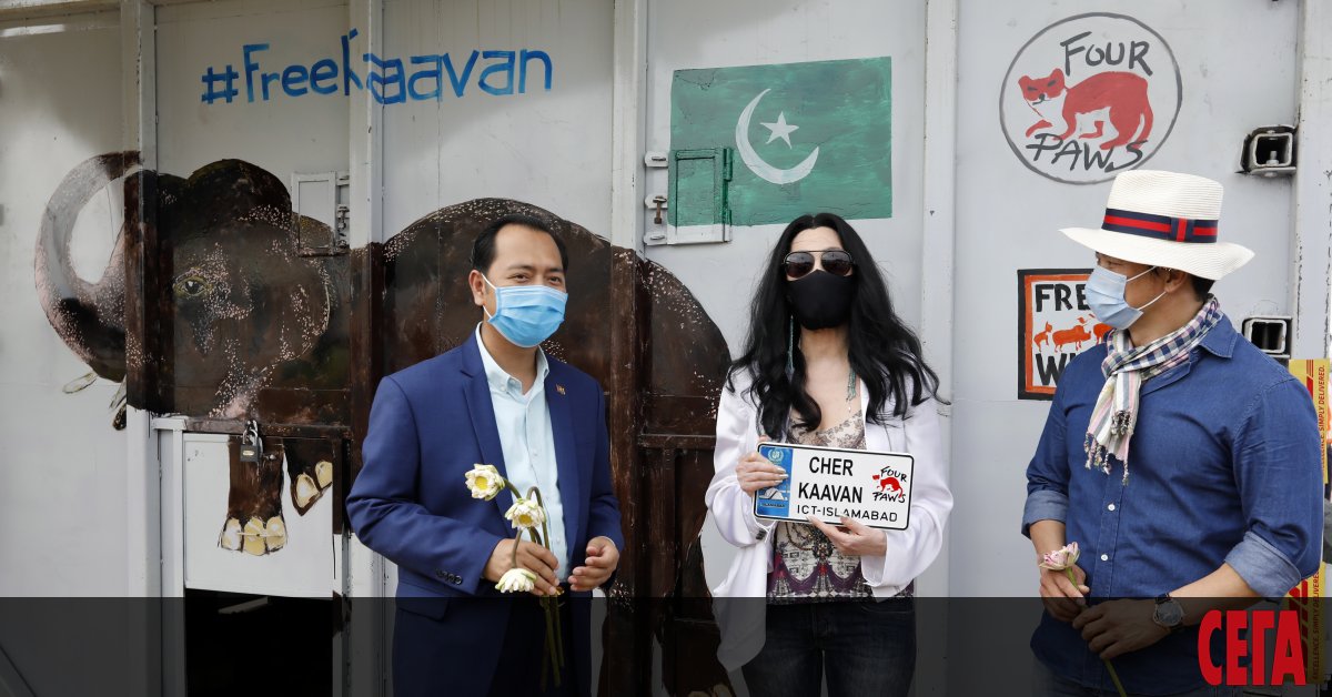 Певицата и актриса Шер приветства най-самотния слон в света“ в Камбоджа,