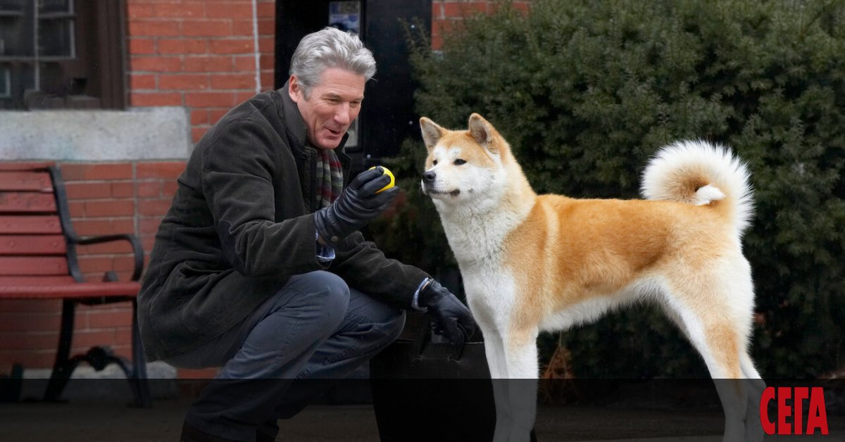 Съдбата на кучето Хачико, което години наред чака своя починал